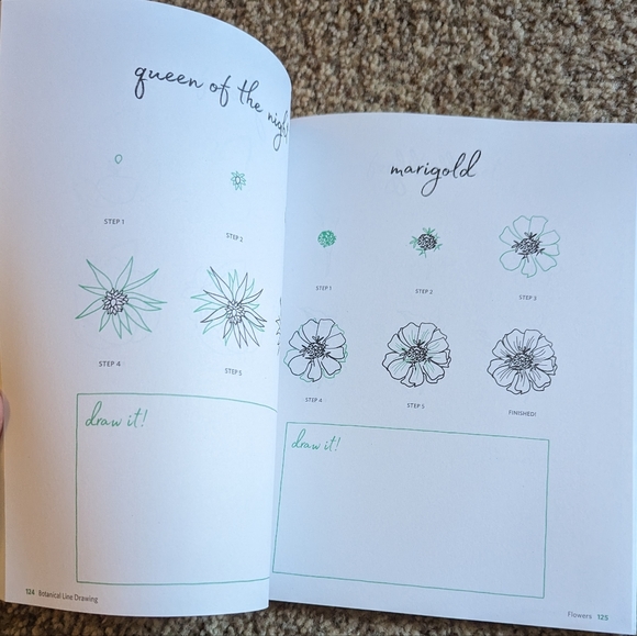 Botanical Line Drawing 200 Step-by-step cacti, leaves, flowers, succulents - Picture 13 of 16